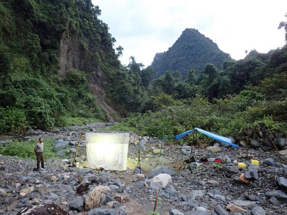 Los investigadores disponían de una lista de 30 especies que esperaban encontrar.