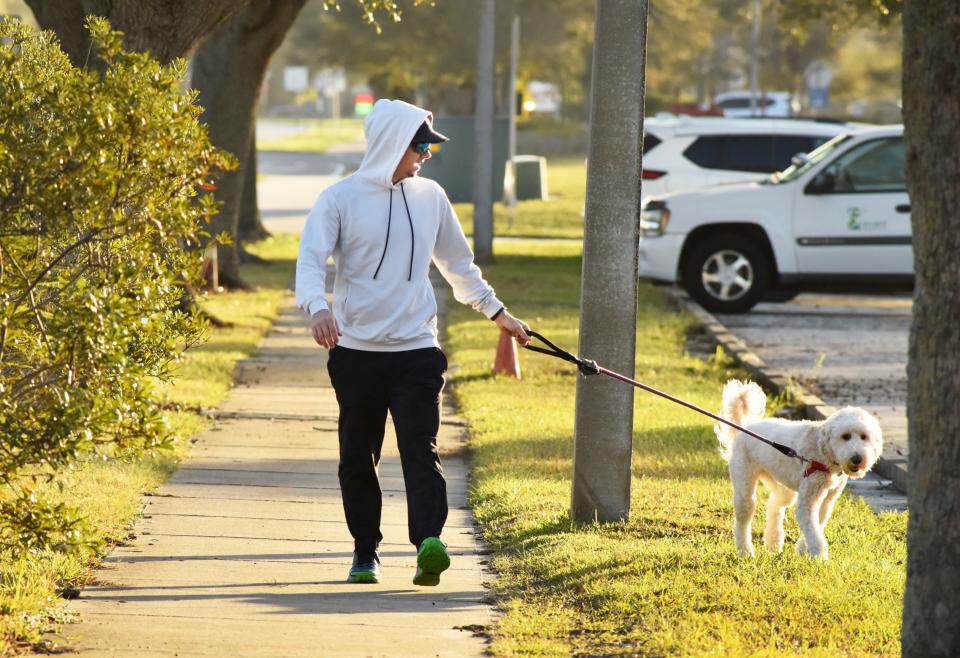 Chris Delbridge walks his dog, Brooklyn, during a chilly morning walk on Martin Luther King Jr. Day in Viera.