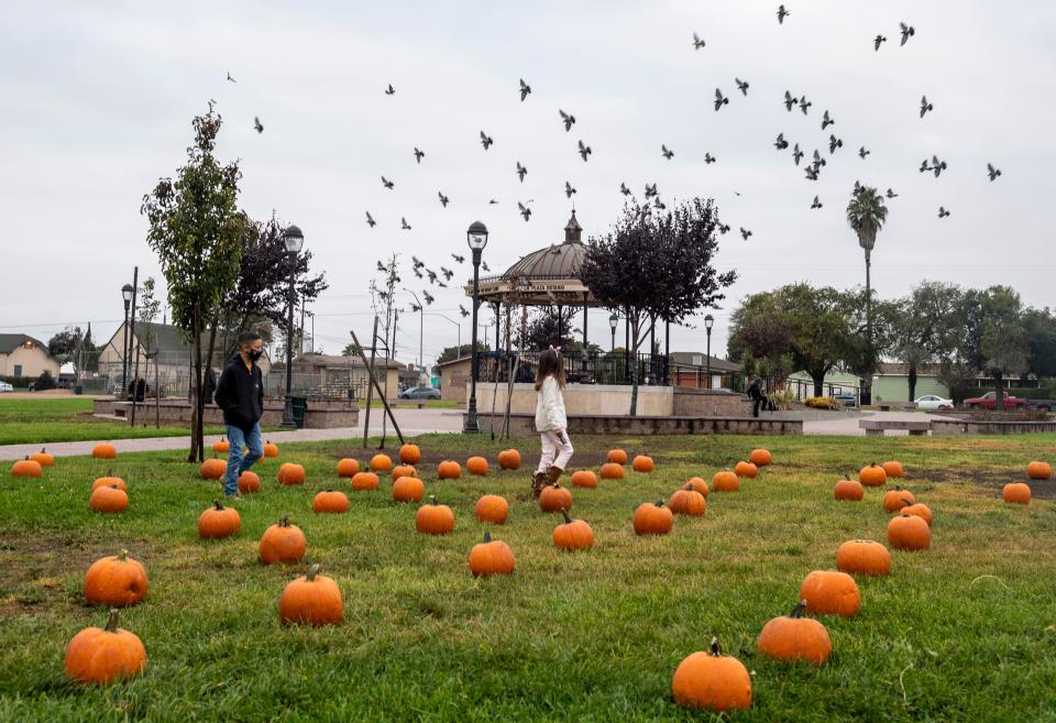 Thee Krew’s Patch in E. Salinas, photographed on Oct. 24, 2020.