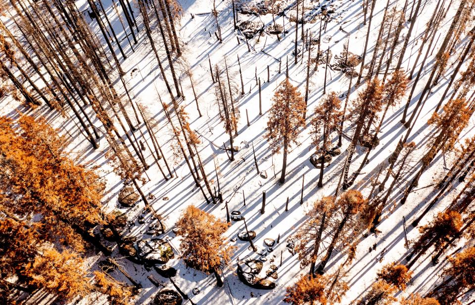 Wildfire-scorched trees line a hillside, Wednesday, Oct. 27, 2021, in Sequoia Crest, Calif. Archangel Ancient Tree Archive is planting sequoia seedlings in the area. (AP Photo/Noah Berger)