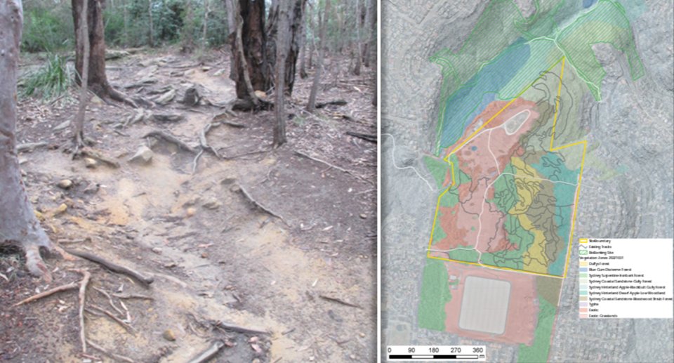 Left - a denuded mountain bike forest. Right - a map of the tracks.