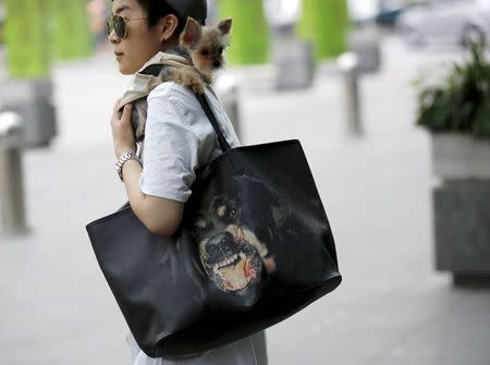 A woman carries her pet dog on her shoulder in front of a shopping mall in Beijing, China, in this June 1, 2015 file photo. REUTERS/Kim Kyung-Hoon/Files