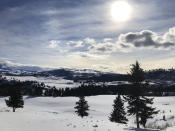 This Feb. 17, 2020 photo shows Yellowstone National Park's Lamar Valley near Mammoth, Wyo. On Tuesday, March 24, 2020 the National Park Service announced that Yellowstone and Grand Teton National Parks would be closed until further notice, and no visitor access will be permitted to either park. (AP Photo/Matthew Brown)