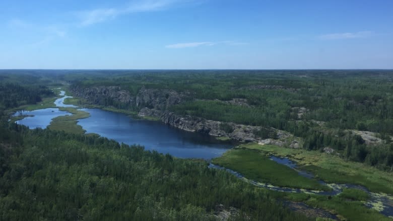 Ducks Unlimited, First Nations and Métis partner to study N.W.T. boreal forest