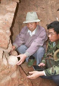 <b>Wang Zhenghua (left), curator of a local museum, and Wang Fangchen, a scientist from Beijing, remove a fossilized dinosaur egg from a mountainside in Yunxian in central Hubei province.</b> Getty Images