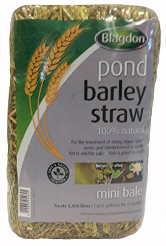 Blagdon Pond Barley Straw Bale, Small, Clears Algae, Green Water and Blanketweed, Natural, for Ponds Up to 4,500 Litres