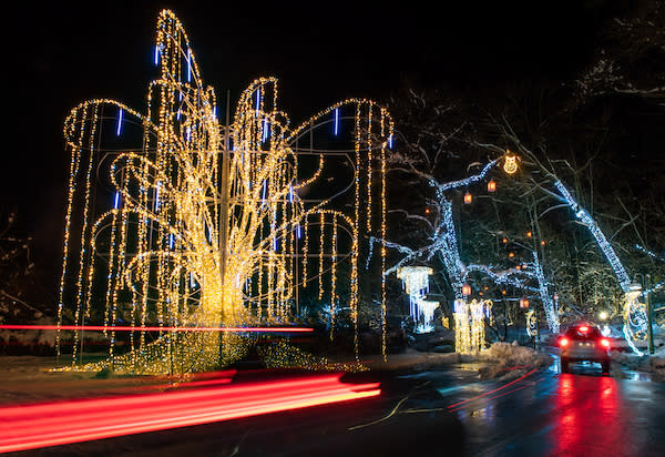 Wild Winter Lights drive-through at the Zoo on December 2, 2020. (Kyle Lanzer/Cleveland Metroparks)