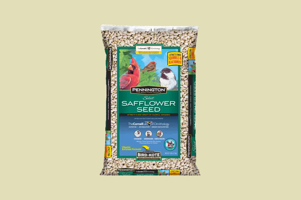 Safflower Seeds