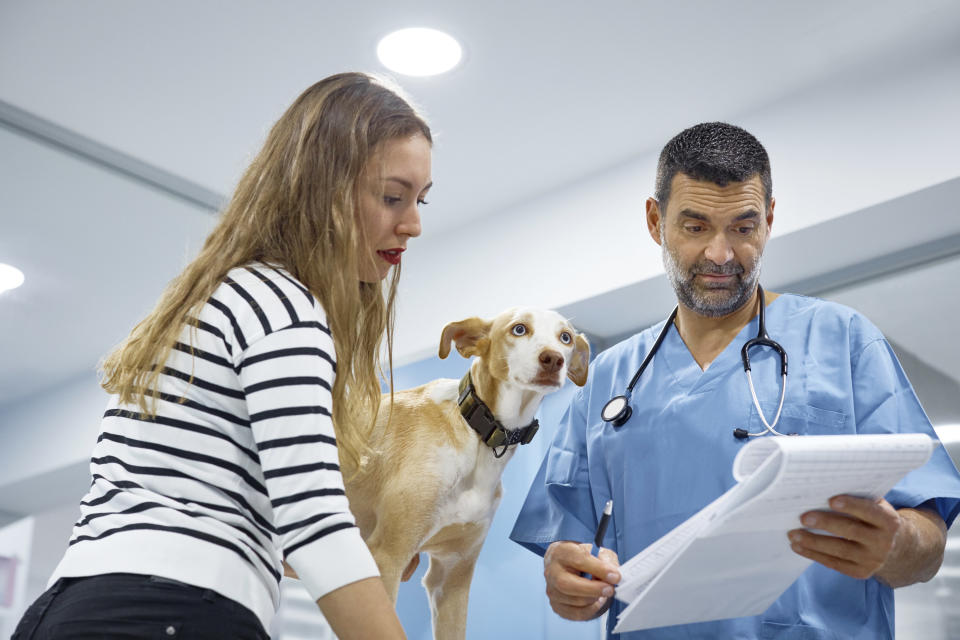 Woman taking her dog to the vet