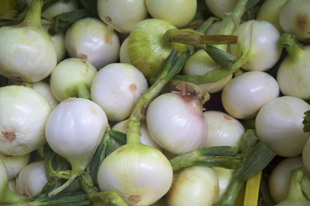 sweet onions at the farmers market - walla walla onions