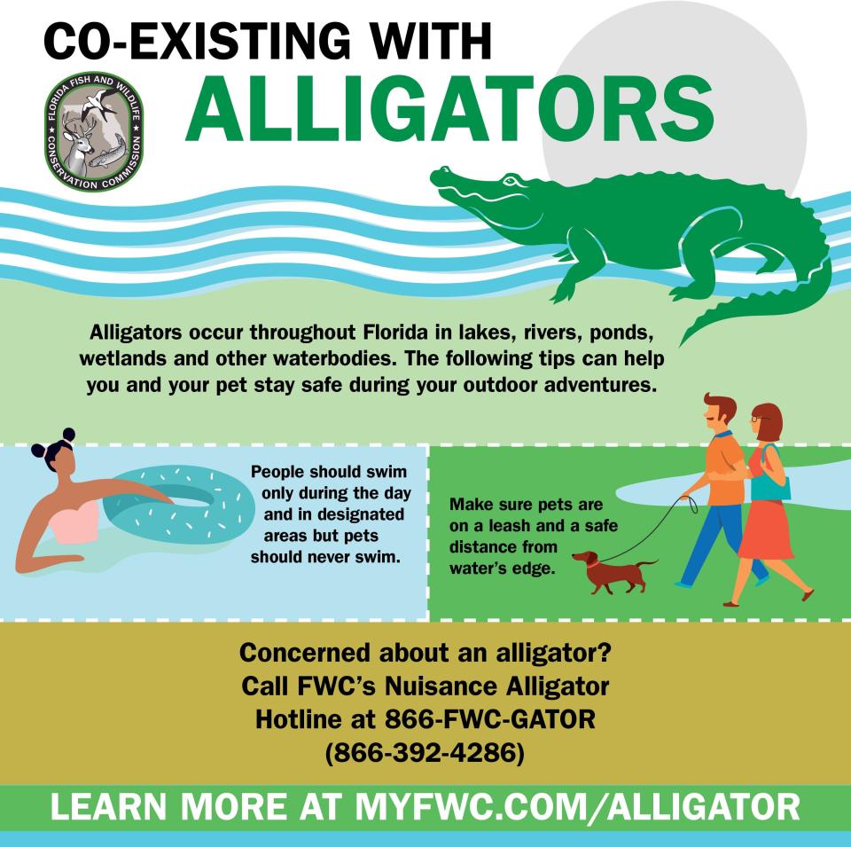 Tips to keep you and your pets safe as gator mating season approaches