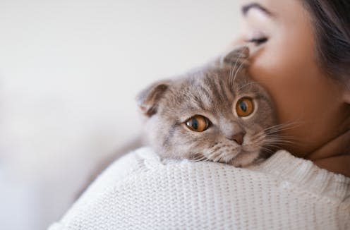 <span class="attribution"><a class="link " href="https://www.shutterstock.com/image-photo/beautiful-young-woman-cute-cat-resting-587456957" rel="nofollow noopener" target="_blank" data-ylk="slk:Africa Studio/Shutterstock;elm:context_link;itc:0;sec:content-canvas">Africa Studio/Shutterstock</a></span>