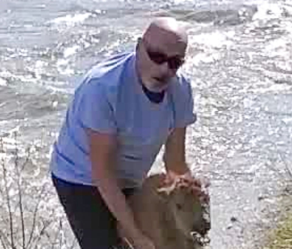 A Yellowstone National Park bison calf was euthanised after a tourist’s attempted rescue (National Park Service / Hellen Jack)