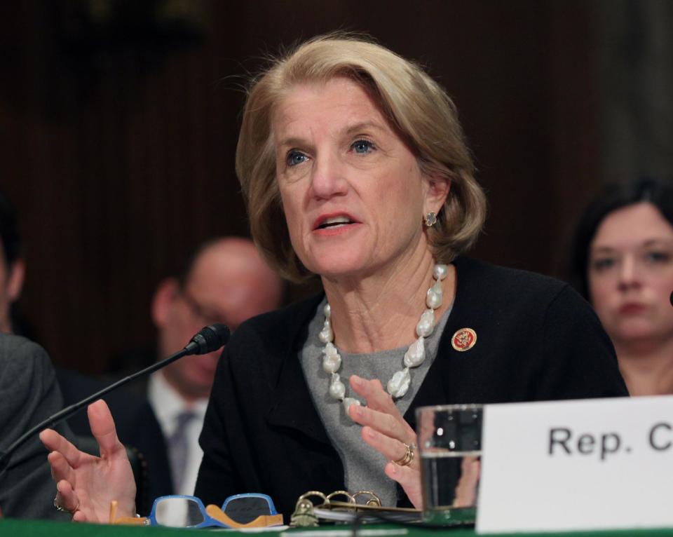 Rep. Shelly Moore Capito, R-W.Va. testifies on Capitol Hill in Washington, Tuesday, Feb. 4, 2014, before the Senate subcommittee on Water and Wildlife hearing to examine the safety and security of drinking water supplies following the Central West Virginia drinking water crisis. (AP Photo/Lauren Victoria Burke)