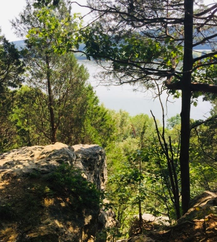 A view of the river from the Ohio River Bluff Trail at O’Bannon Woods State Park near Corydon, Indiana.