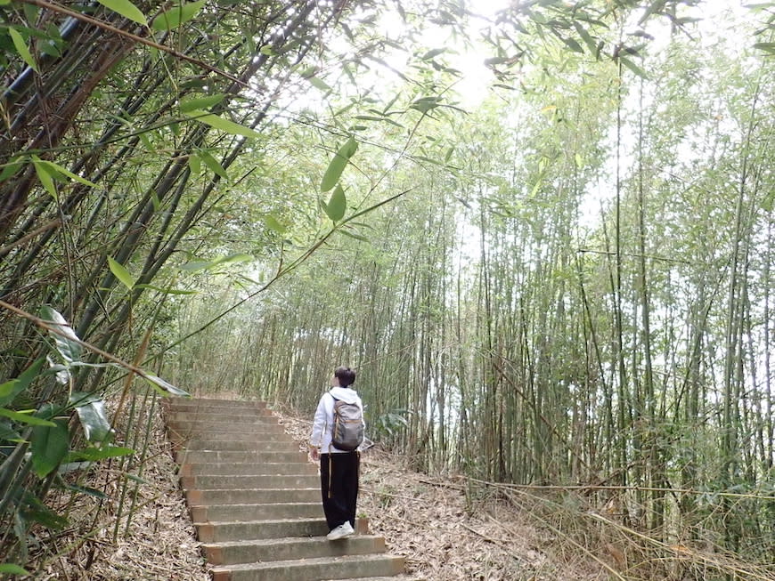 新竹十二寮登山步道