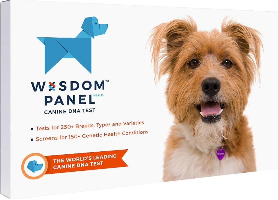 Which dog DNA test kit is best? We tried two &mdash; Wisdom Panel and Embark &mdash; to find out. (Photo: Wisdom Panel)