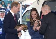 <p>Prince William and Kate Middleton hold puppies during a visit to the Royal New Zealand Police College.</p>