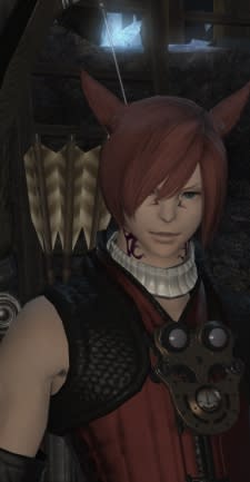 And as a bonus, MANCATS.  Everywhere.  Enough male miqo'te to choke something that feeds exclusively on male miqo'te.  Cats, cats, cats.