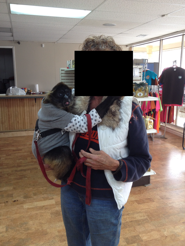 This photo, included as an exhibit in the case against the owners of two Celina, Tennessee, pharmacies, shows Carlos the monkey in Xpress Pharmacy. Defense attorneys don't want pictures of him shown at trial.