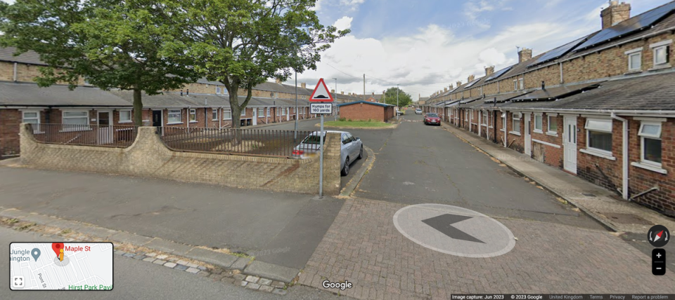Police were called to the Maple Street in Ashington after reports that a dog had injured a child (Google Maps)