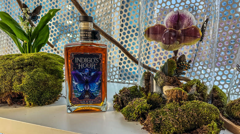 Indigo's Hour bottle with plants