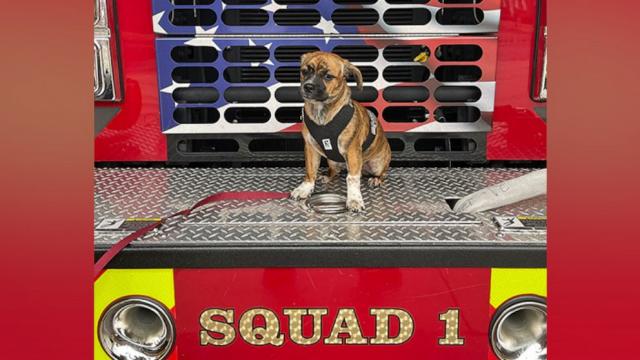 Oregon firefighters rescue dog that fell into well