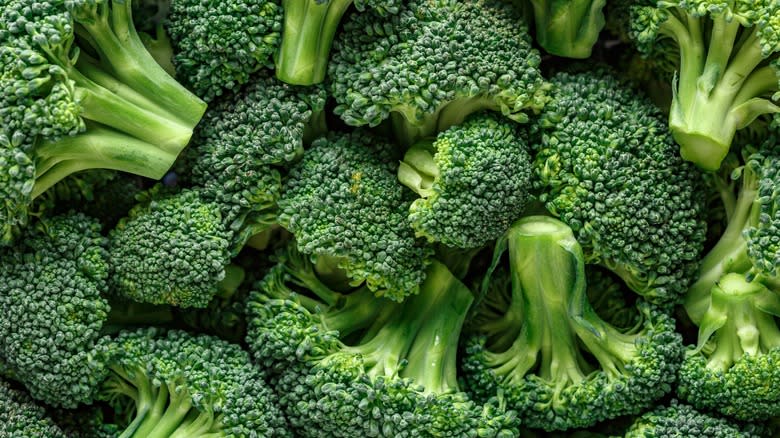 Bunches of fresh broccoli