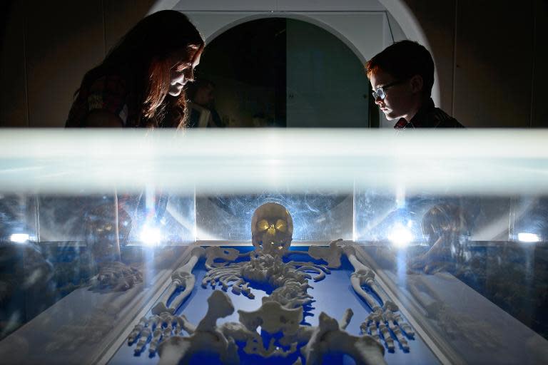 Visitors examine a replica of the skeleton of King Richard III, created using 3D printing, displayed in the new visitor's centre on the site where his remains were discovered, in Leicester, central England, on July 24, 2014