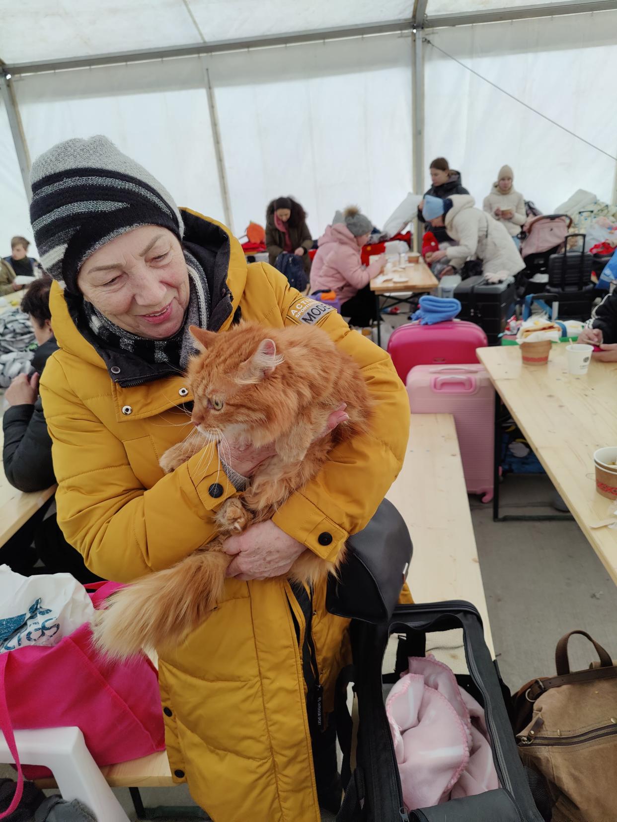 Thanks to a temporary clinic set up by Fort Collins' Street Dog Coalition, Ukrainian refugees were able to get their pets examined and cleared for further travel as they crossed the Romanian border.