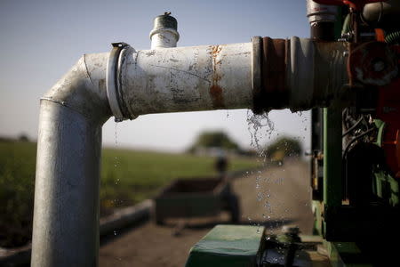 An irrigation pipe leaks in Los Banos, California, United States May 5, 2015. REUTERS/Lucy Nicholson