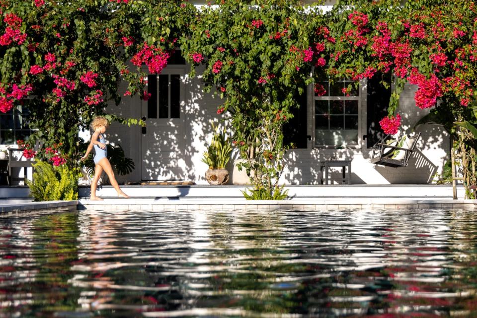 Barbara Karst Bougainvillea