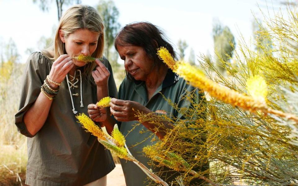 An Anangu guide leads a tour of native plants in the gardens at Ayers Rock Resort.