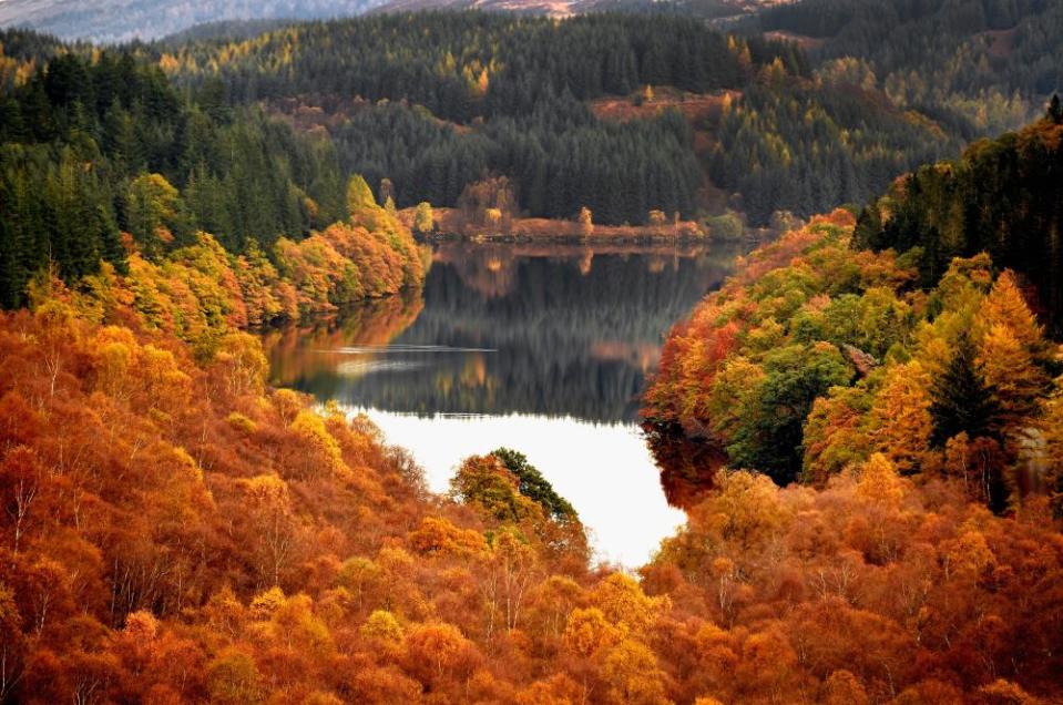 Autumn display at Loch Lomund in Scotland