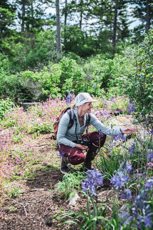 UBC forestry professor Tara Martin contacted the Land Conservancy of B.C. when she found out that Halibut Island was for sale. 