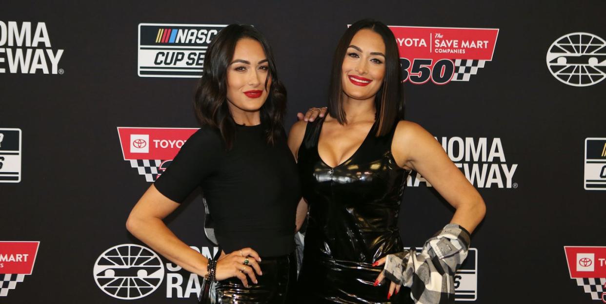 nikki brie bella garcia