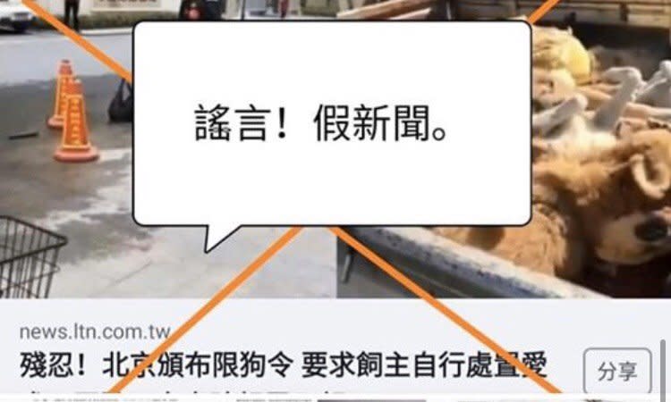 楊秉儒／北京限狗令？先看看台灣！