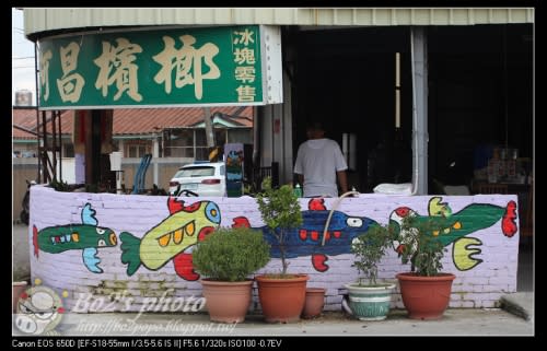 台南.善化-胡厝寮(胡家里)可愛路線為主的小型彩繪村