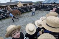 Amish mud sale, Peach Bottom, Pennsylvania, USA <br><br>Chase Guttman, USA (age 16)<br><br>Camera: Nikon D7000 <br><br>Winner, Young Photographers Alliance Award