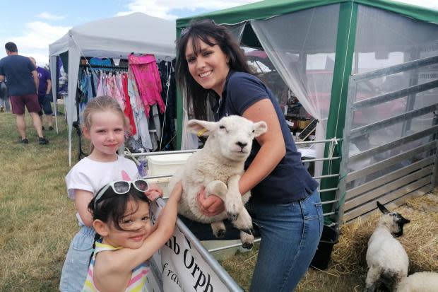 The Lamb Orphanage proved popular at the Tockwith Show