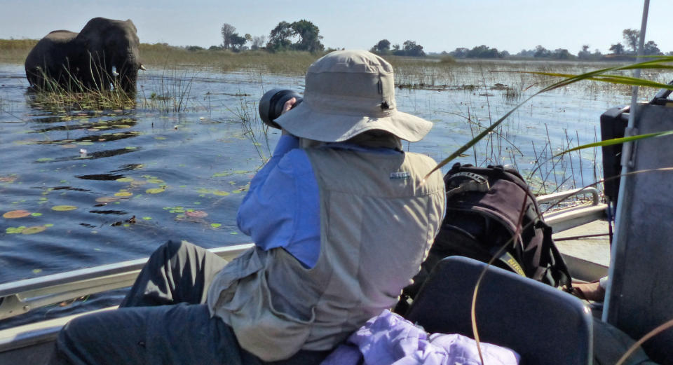 This Sept. 4, 2016 photo taken in Botswana's Okavango Delta, shows a photographer collecting an image of an elephant foraging for food. The operator of this specialized photo tour used different modes of transportation ranging from helicopters to boats and safari vehicles to provide wildlife viewing — no matter what the terrain. One of the best ways to approach and photograph wildlife is by boat. (Dean Fosdick via AP)