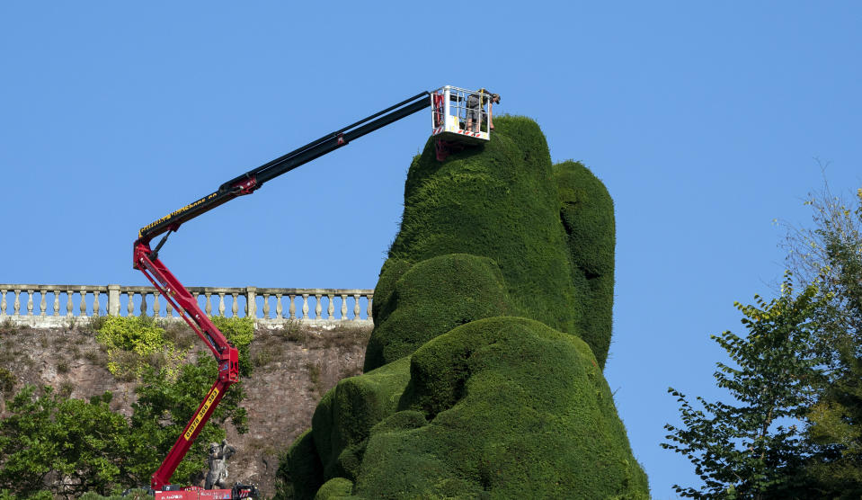 <p>A National Trust gardener Dan Bull works from a cherry-picker to trim a section of 14m-high yew hedge at Powis Castle near Welshpool. The famous 'tumps' are more than 300 years old and it takes one gardener 10 weeks each autumn to clip them, maintaining their unusual waved shape. Picture date: Tuesday September 7, 2021.</p>
