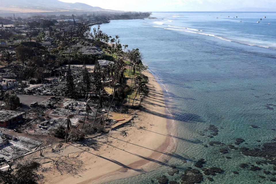 PHOTO: In an aerial view, homes and businesses are seen that were destroyed by a wildfire on August 11, 2023, in Lahaina, Hawaii. (Justin Sullivan/Getty Images)