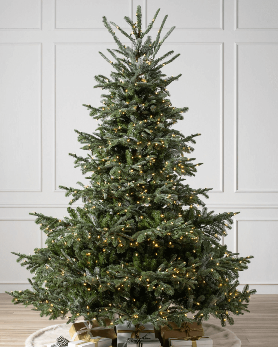 European Fir Tree