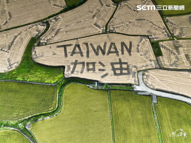 康明義半年前曾用耕耘機翻土寫出「TAIWAN加油（台灣加油）」，絕美空拍照讓人讚嘆連連，他說當時自己大概花半小時完成。（資料照／自然有蟲米康明義 授權提供）