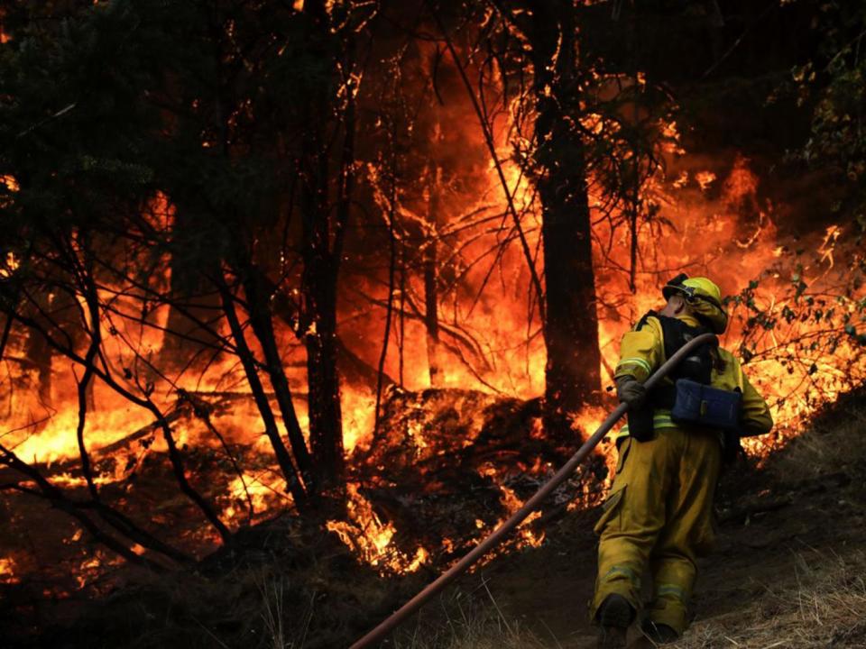 Firefighting along Highway 29 near Calistoga, California (AP)