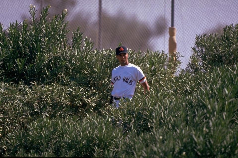 chandler diamondbacks derek jeter, 1994 arizona fall league