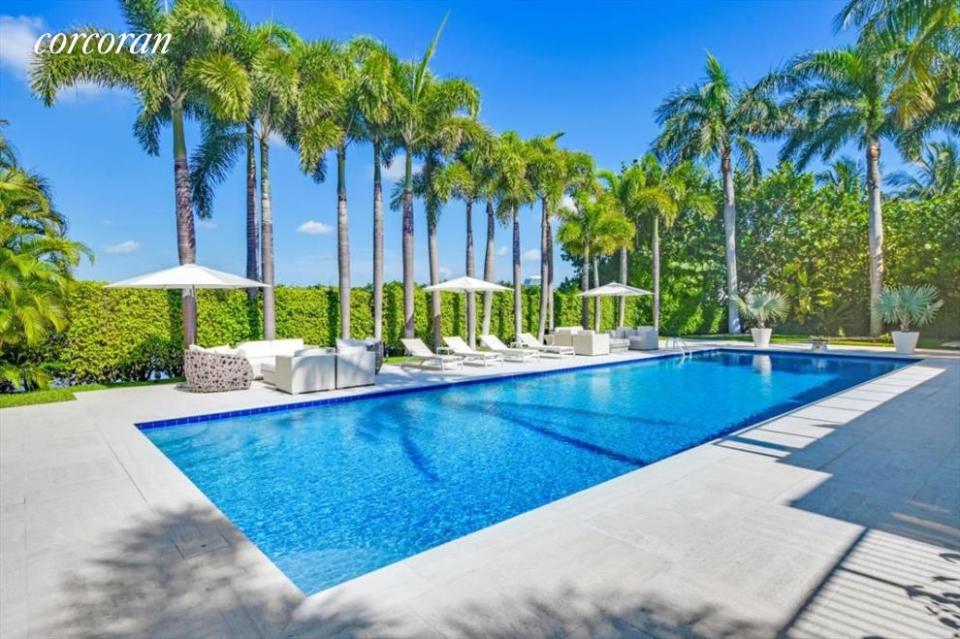 The pool shaded by towering palm trees in Epstein's Palm Beach estate.