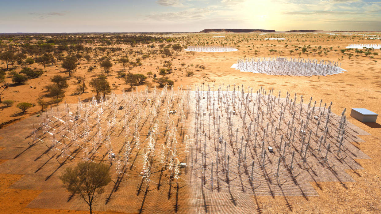  The Square Kilometer Array's site in Australia will rely on 130,000 Christmas-tree like dipole antennas to listen to radio waves emitted by objects in the most distant universe. 