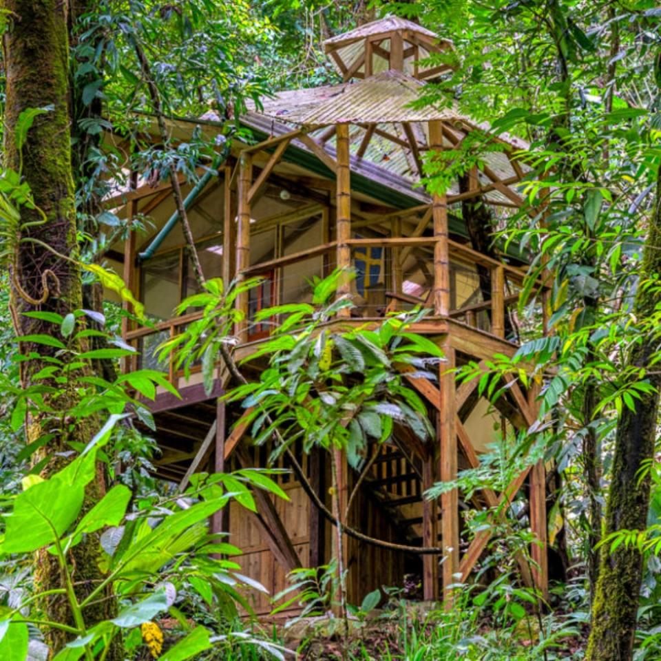 En mitad de la selva tropical de la costa del Pacífico de Costa Rica se encuentra este complejo con casas del árbol no aptas para las personas con vértigo. Algunas de ellas se suspenden a 25 metros de altura. Podemos alojarnos en una de ellas desde 120 euros la noche. (Foto: <a href="http://www.fincabellavistacommunity.com/treehouses/cabina-colibri/" rel="nofollow noopener" target="_blank" data-ylk="slk:Finca Bellavista;elm:context_link;itc:0;sec:content-canvas" class="link ">Finca Bellavista</a>).